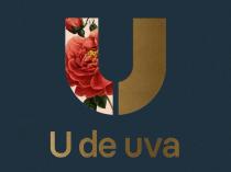 U de uva