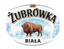 ŻUBRÓWKA BIAŁA