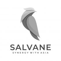 SALVANE SYNERGY WITH ASIA