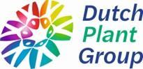 Dutch Plant Group