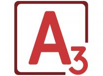 A3