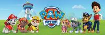 PAW PATROL