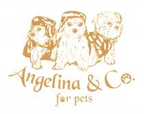 Angelina & Co.for pets