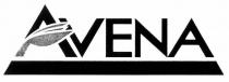 AVENA