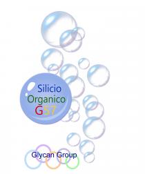 Silicio Organico G57 Glycan Group