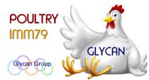 GLYCAN POULTRY IMM79 Glycan Group