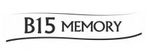 B15 MEMORY