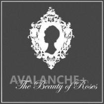 AVALANCHE+ The Beauty of Roses