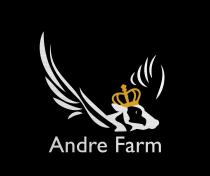 Andre Farm