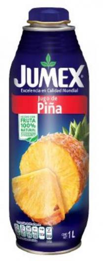 JUMEX Jugo de Piña Excelencia en Calidad Mundial 1L