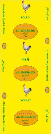 AL MOUHAJIR POLLO POULET AL MOUHAJIR QUALITÉ ET HALAL
