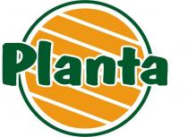 Planta