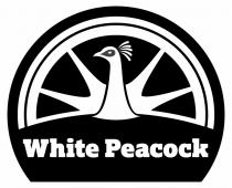 White Peacock