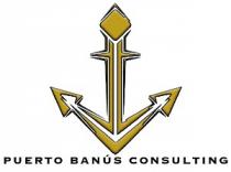 PUERTO BANÚS CONSULTING