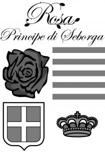 Rosa Principe di Seborga