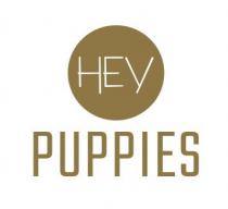 HEY PUPPIES
