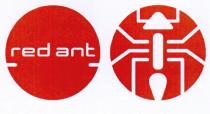 red ant
