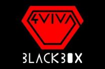 4VIVA BLACKBOX