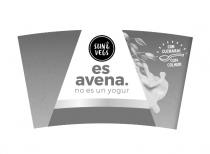SUN&VEGS es avena. no es un yogur CON CUCHARA! COM COLHER!