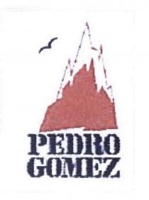 PEDRO GOMEZ