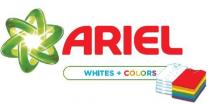 ARIEL WHITES + COLORS