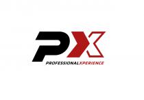 px PROFESSIONALXPERIENCE