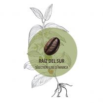 RAÍZ DEL SUR SÉLECTION LUXE D'ARABICA