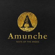 Amunche TASTE OF THE ANDES