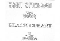 შავი მოცხარი უშბა BLACK CURANT USHBA