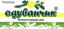 Одуванчик П КРАСОТА ВАШИХ НОГ СЕКРЕТЫ ДОЛГОЛЕТИЯ