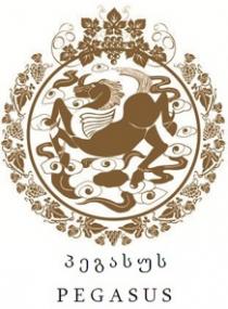 პეგასუს,PEGASUS