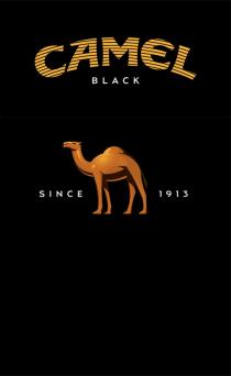 CAMEL BLACK SINCE 1913