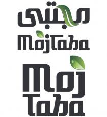 Mojtaba Moj taba