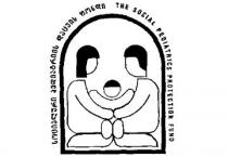 სოციალური პედიატრიის დაცვის ფონდი THE SOCIAL PEDIATRICS PROTECTION FUND