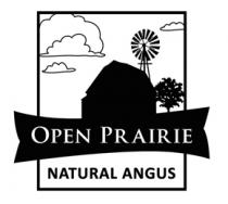 OPEN PRAIRIE NATURAL ANGUS