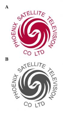 PHOENIX SATELLITE TELEVISION CO LTD