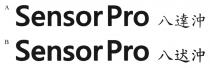 SensorPro 八達沖 SensorPro 八迖沖