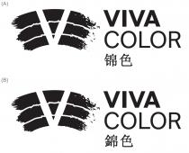 V VIVA COLOR 锦色 V VIVA COLOR 錦色