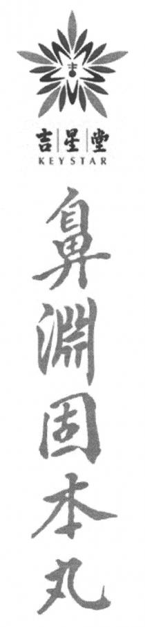 KEYSTAR 吉星堂 鼻淵固本丸