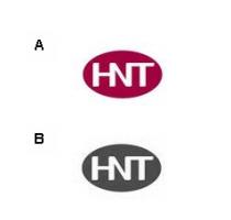 HNT