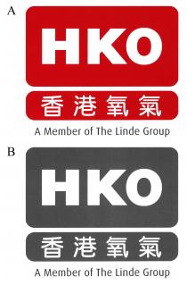 HKO A Member of The Linde Group 香港氧氣