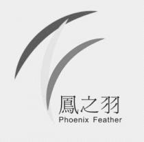 Phoenix Feather 鳳之羽