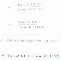 TWIGGY MH LIU LAW OFFICE