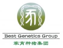 Best Genetics Group 家育种猪集团