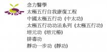 WISH 念力醫學 太極五行自我康復工程 中國太極五行功(中太功) 太極五行功功法系列(太極五行功) 培元功(培元樁) 排毒功 靜功一步功(靜功)