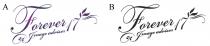 Forever 17 Image advisor