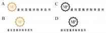 MP 潘何慧儀律師事務所