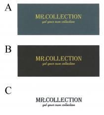 MR.COLLECTION get your own collection