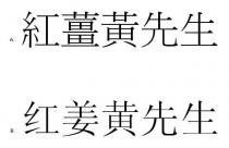 紅薑黃先生 红姜黄先生