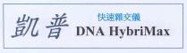 DNA HybriMax 凱普 快速雜交儀
